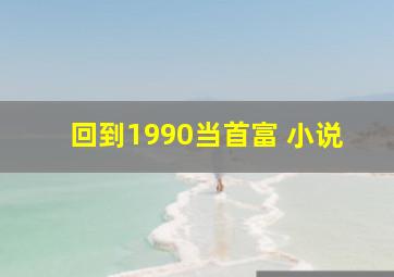 回到1990当首富 小说